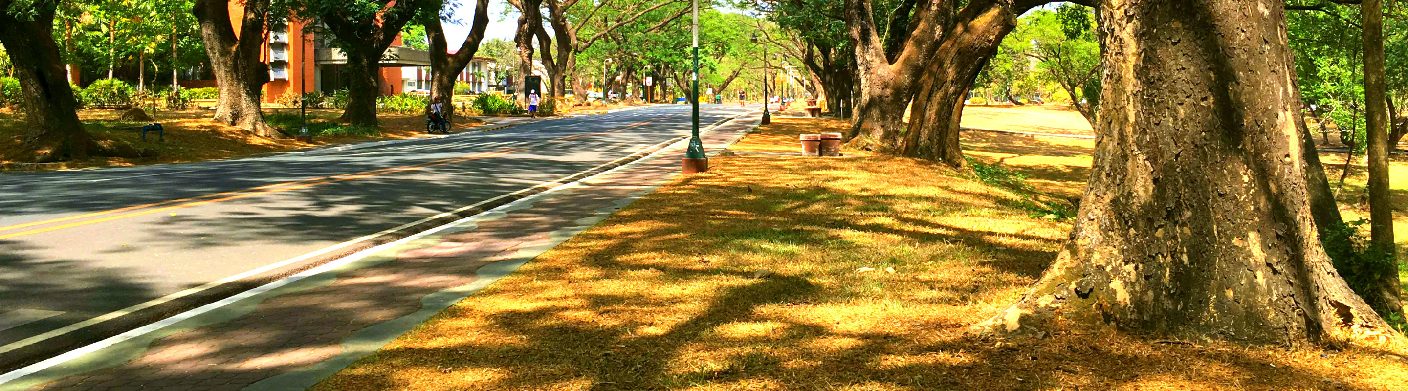 Why I Chose to Run. Written by Justin Joyas for SubSelfie.com.