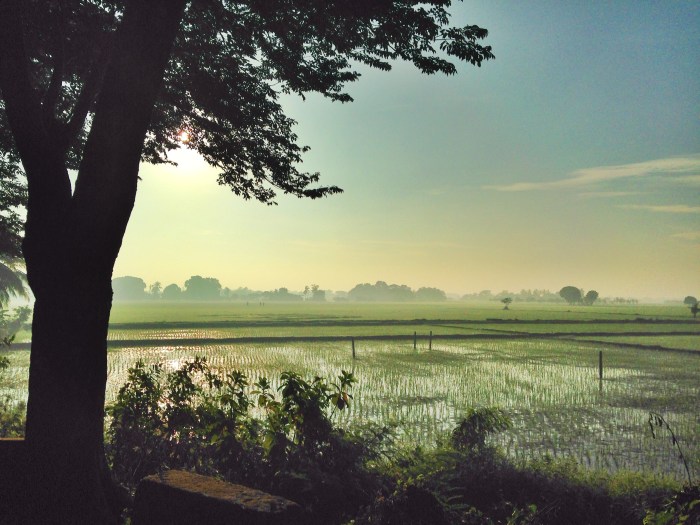 My hometown: Cambaog, Bulacan