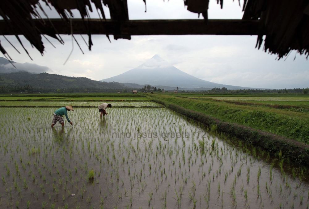 Masters of Disaster. Photo courtesy: Niño Orbeta