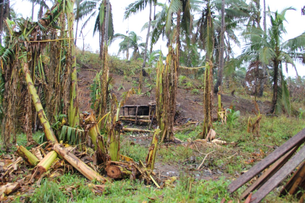 Toni-Tiemsin-Save-the-Children-Typhoon-Ruby-Hagupit-Samar-SubSelfie-Banana