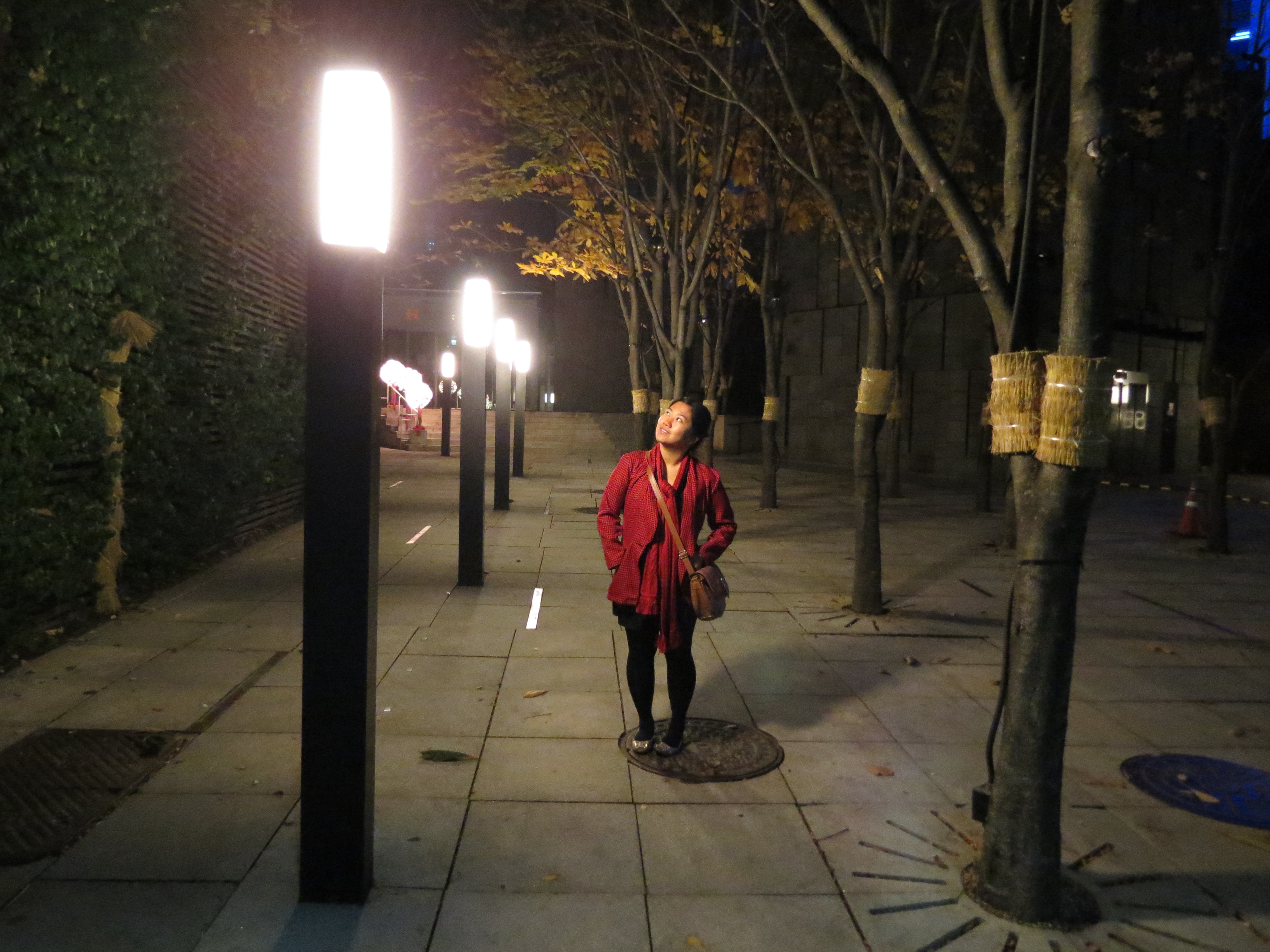 Where the lights lead me.