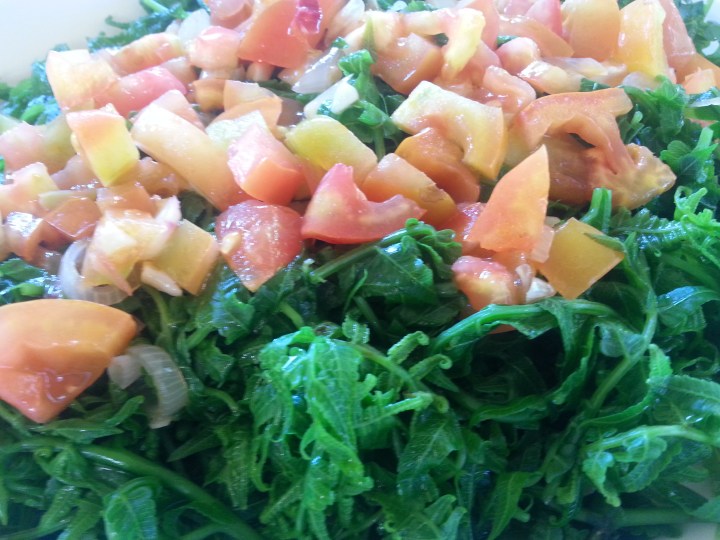 Fern salad