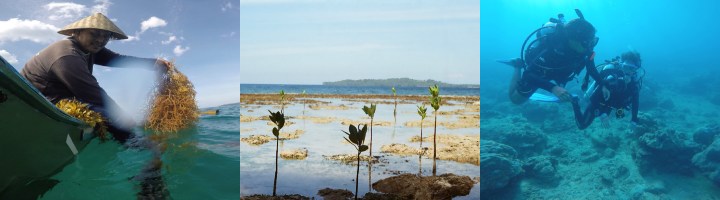 Ocean Deep: Volunteering for Marine Conservation by Paola Ceriola