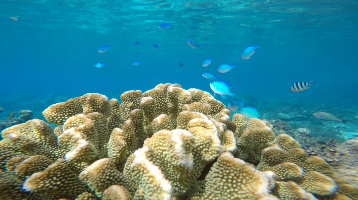 Photo by: Paola Ceriola