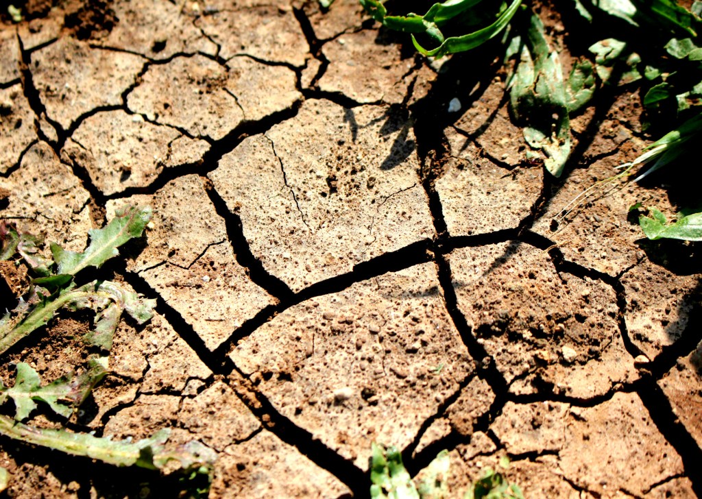 The Unseen War of the Lumads Against Climate&nbsp;Change