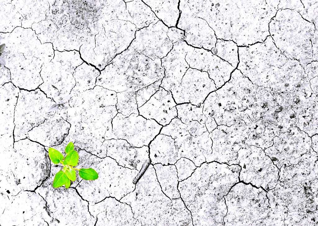 Paris Agreement: What We Need to&nbsp;Know