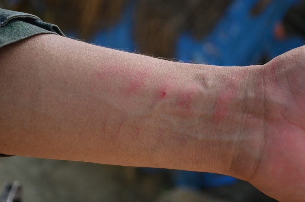 Just another day in school.