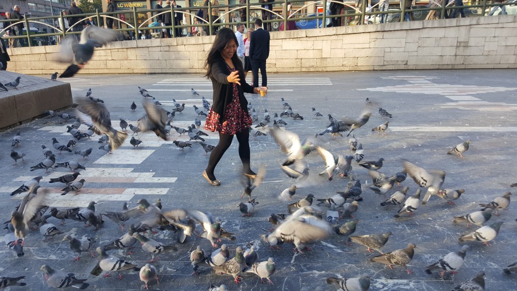 These fellows kept me company during my solo walk.