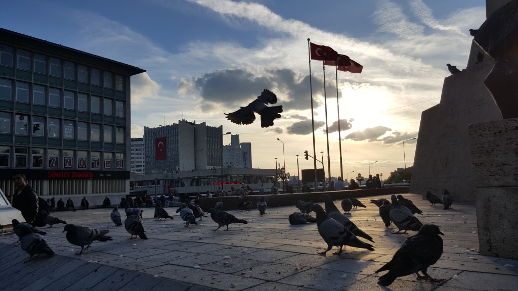 Peace will find a way to spread its wings.