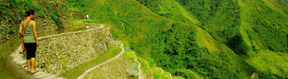 Agriculture: What Do the Presidentiables Have to Say? Written by Hon Sophia Balod for SubSelfie.com.