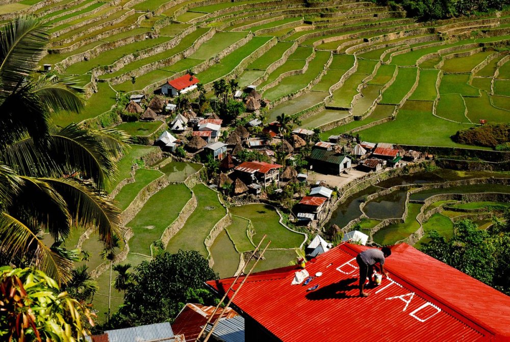 Agriculture in Batad. Photo by Toni Tiemsin.