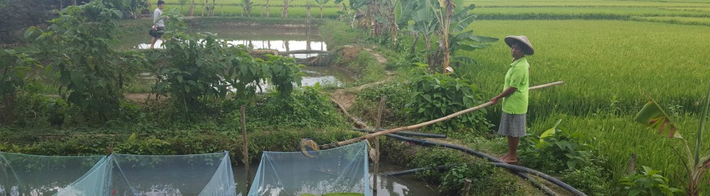 Who Runs the Farm? Girls! Written by Hon Sophia Balod for SubSelfie.com.