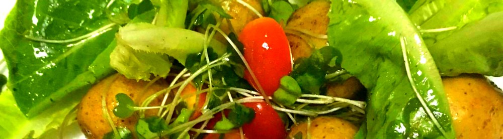 The Start of My Vegetarianism by Tricia Zafra. Written for SubSelfie.com.