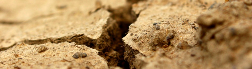 Hereditarily Broken: Surviving Dysfunctional Families. Written by Mariah Camille Oliveros for SubSelfie.com.