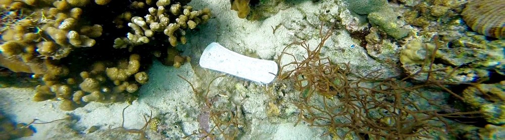 Pasador Diaries: Six Months without Disposable Napkins. Written by Tricia Zafra for SubSelfie.com.