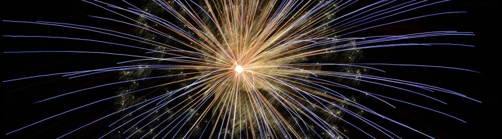 Year of the Rooster. Written by the SubSelfie Blog.