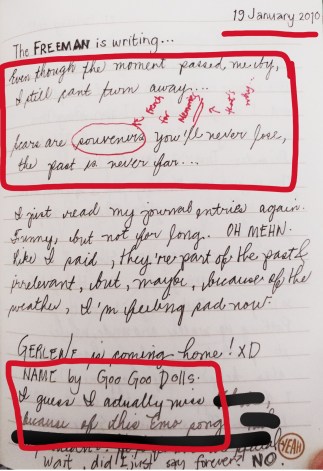 subselfie-going-gaga-over-the-goo-goo-dolls-dawnavie-dadis-7