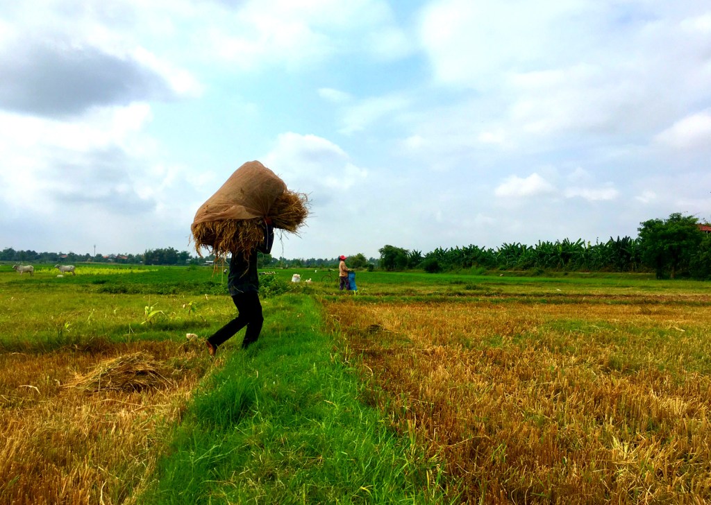 The Disappearing Farmers of&nbsp;Cambodia