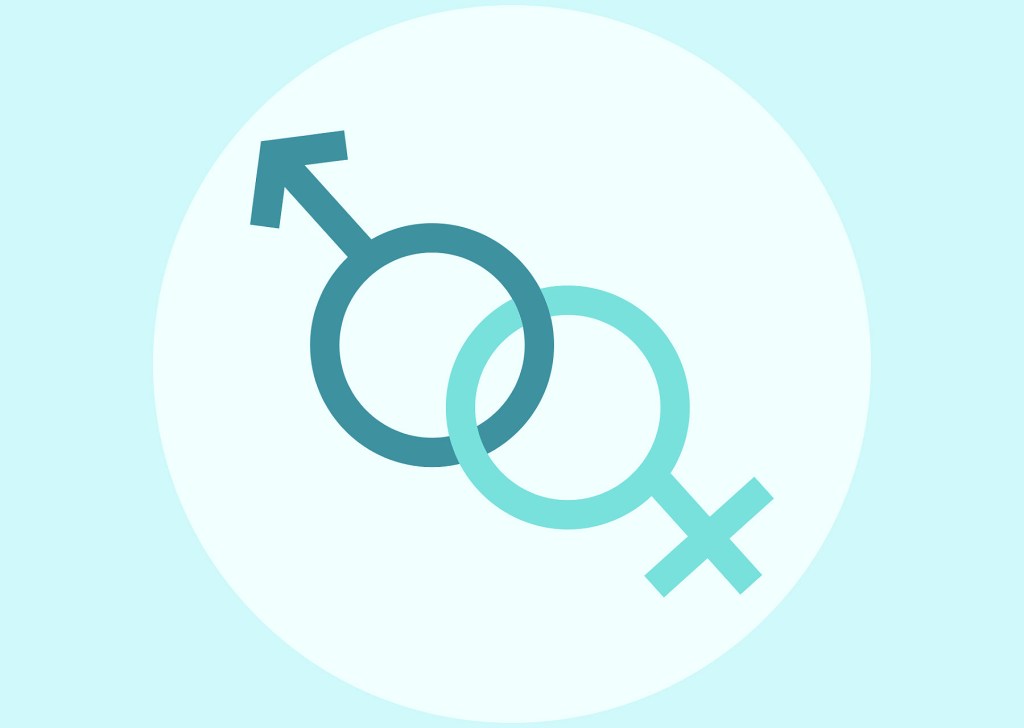 What Should Gender Equality&nbsp;Mean?