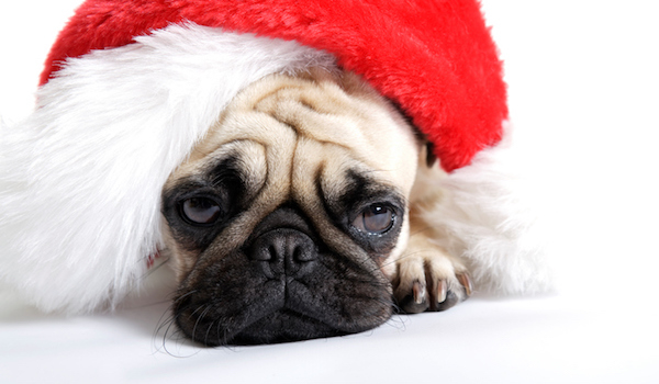 No, Christmas is Not Merry to&nbsp;Everyone