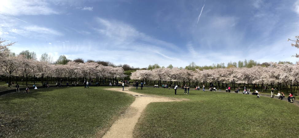 sophia-netherlands-8