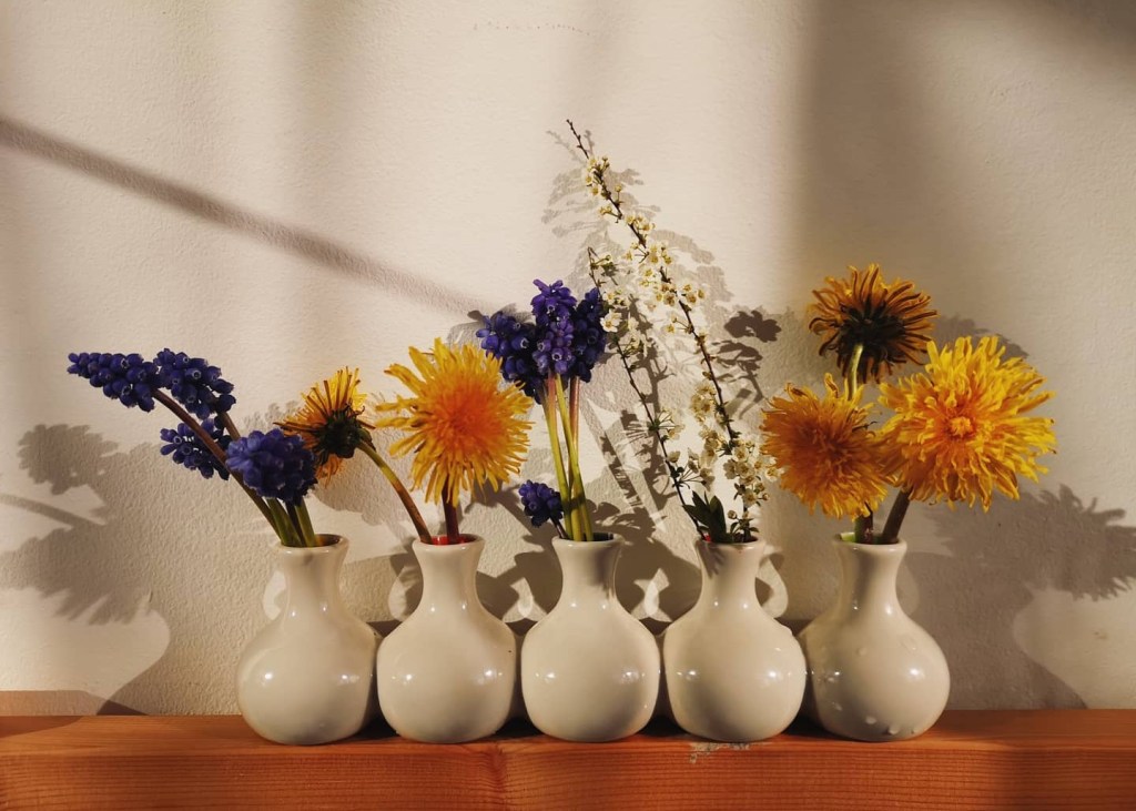 Plant Parenting in the Time of&nbsp;Pandemic