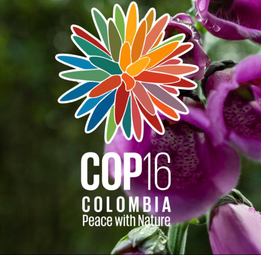 ‘Act now vs fossil fuel&nbsp;threats’